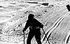 11-4-2010_010.jpg 11-4-2010_010.jpg