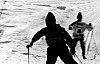 11-4-2010_011.jpg 11-4-2010_011.jpg