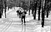 11-4-2010_020.jpg 11-4-2010_020.jpg