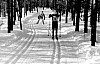 11-4-2010_021.jpg 11-4-2010_021.jpg