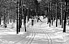 11-4-2010_026.jpg 11-4-2010_026.jpg