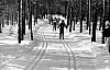 11-4-2010_027.jpg 11-4-2010_027.jpg