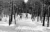 11-4-2010_028.jpg 11-4-2010_028.jpg