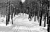 11-4-2010_029.jpg 11-4-2010_029.jpg