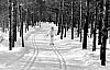 11-4-2010_030.jpg 11-4-2010_030.jpg
