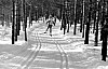 11-4-2010_058.jpg 11-4-2010_058.jpg