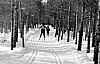 11-4-2010_066.jpg 11-4-2010_066.jpg