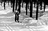 11-4-2010_071.jpg 11-4-2010_071.jpg