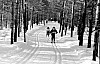 11-4-2010_072.jpg 11-4-2010_072.jpg