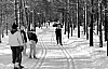 11-4-2010_075.jpg 11-4-2010_075.jpg