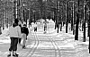 11-4-2010_076.jpg 11-4-2010_076.jpg
