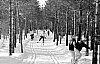 11-4-2010_078.jpg 11-4-2010_078.jpg