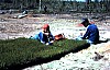11-10-2010_003.jpg 11-10-2010_003.jpg