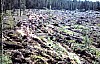 11-10-2010_006.jpg 11-10-2010_006.jpg