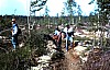 11-10-2010_008.jpg 11-10-2010_008.jpg