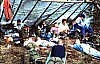 11-10-2010_009.jpg 11-10-2010_009.jpg