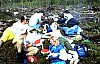 11-10-2010_014.jpg 11-10-2010_014.jpg