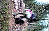 11-10-2010_015.jpg 11-10-2010_015.jpg