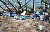 11-10-2010_017.jpg 11-10-2010_017.jpg