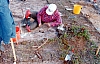 2-10-2011_003.jpg 2-10-2011_003.jpg