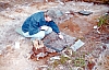 2-10-2011_013.jpg 2-10-2011_013.jpg