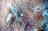 2-10-2011_027.jpg 2-10-2011_027.jpg