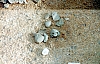 2-10-2011_050.jpg 2-10-2011_050.jpg
