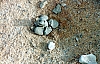 2-10-2011_054.jpg 2-10-2011_054.jpg