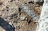 2-10-2011_063.jpg 2-10-2011_063.jpg