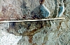 2-10-2011_068.jpg 2-10-2011_068.jpg