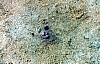 2-10-2011_079.jpg 2-10-2011_079.jpg