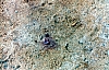 2-10-2011_081.jpg 2-10-2011_081.jpg