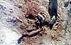 2-10-2011_091.jpg 2-10-2011_091.jpg