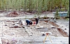 2-10-2011_095.jpg 2-10-2011_095.jpg