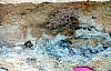 2-11-2011_001.jpg 2-11-2011_001.jpg