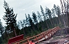 2-11-2011_003.jpg 2-11-2011_003.jpg