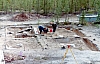 2-11-2011_004.jpg 2-11-2011_004.jpg