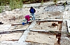 2-11-2011_005.jpg 2-11-2011_005.jpg