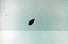 2-11-2011_031.jpg 2-11-2011_031.jpg