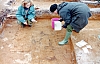 2-11-2011_040.jpg 2-11-2011_040.jpg