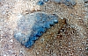 2-11-2011_044.jpg 2-11-2011_044.jpg