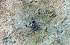2-14-2011_013.jpg 2-14-2011_013.jpg