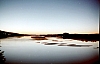 2-14-2011_022.jpg 2-14-2011_022.jpg
