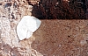 2-14-2011_031.jpg 2-14-2011_031.jpg