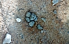 2-14-2011_034.jpg 2-14-2011_034.jpg