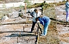 2-14-2011_048.jpg 2-14-2011_048.jpg