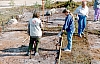 2-14-2011_049.jpg 2-14-2011_049.jpg