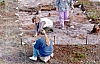 2-14-2011_050.jpg 2-14-2011_050.jpg