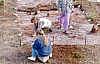 2-14-2011_051.jpg 2-14-2011_051.jpg