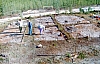 2-14-2011_063.jpg 2-14-2011_063.jpg